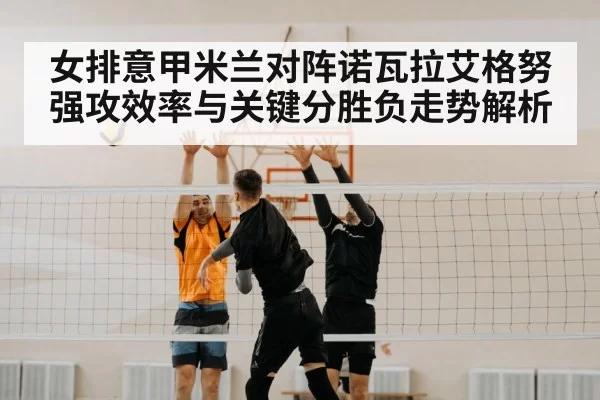 volleyball net block